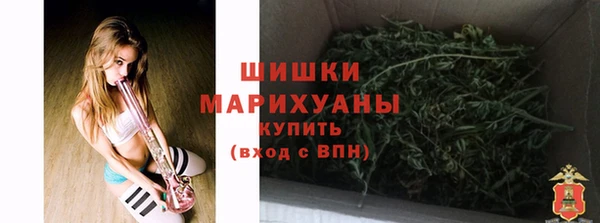соль ск Заводоуковск