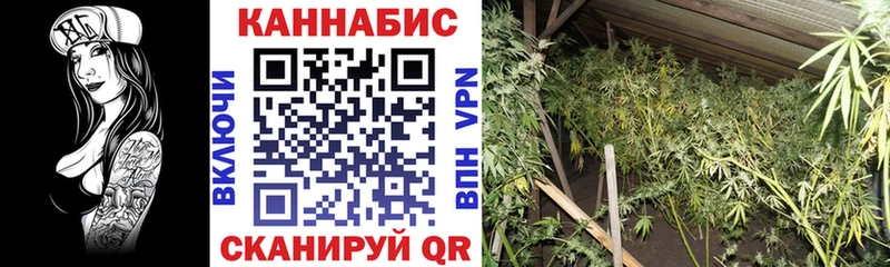 закладка Игарка Марихуана тримм